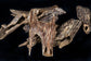 Double Muri Agarwood (Oud) Chips