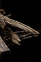 Jura Agarwood (Oud) Chips